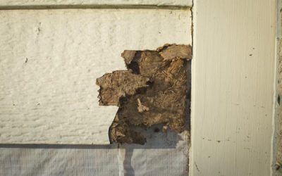 Masonite Siding – Common Problems and When to Replace