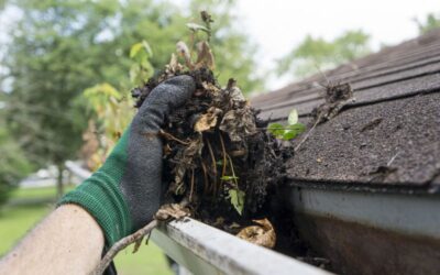 Cleaning Your Gutters and Downspouts