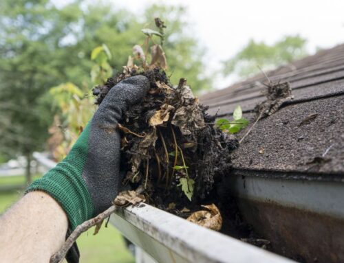 Cleaning Your Gutters and Downspouts
