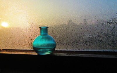 You’ve Got Condensation in Your Window – What Next?