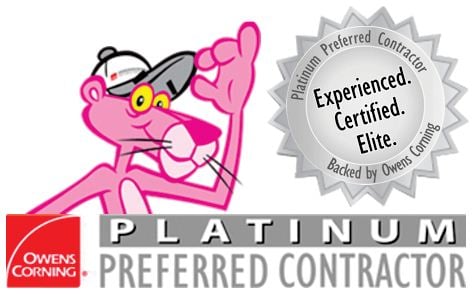 Platinumpreffered pic with pink cat