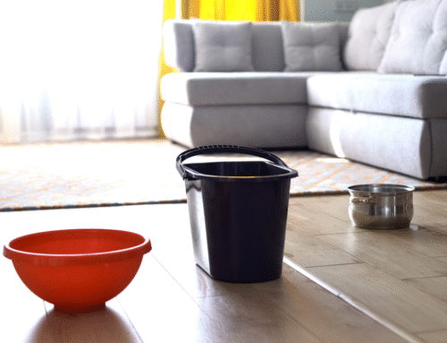What Should You Do If Your Roof Is Leaking?