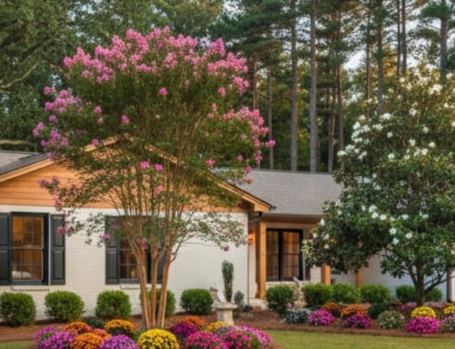 Start the New Year Right with a Home Remodeling Resolution