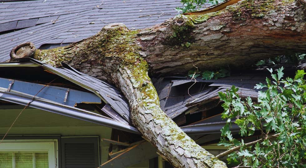 Roof & Structural Storm Damage Repair Roof & Structural Storm Damage Repair